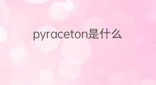 pyraceton是什么意思 pyraceton的中文翻译、读音、例句
