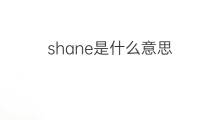 shane是什么意思 shane的中文翻译、读音、例句