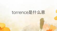 torrence是什么意思 英文名torrence的翻译、发音、来源