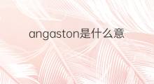 angaston是什么意思 angaston的中文翻译、读音、例句