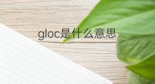 gloc是什么意思 gloc的中文翻译、读音、例句