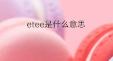 etee是什么意思 etee的中文翻译、读音、例句