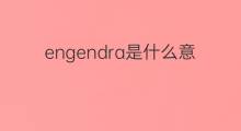 engendra是什么意思 engendra的中文翻译、读音、例句