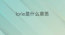lorie是什么意思 英文名lorie的翻译、发音、来源