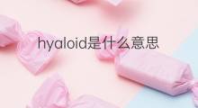 hyaloid是什么意思 hyaloid的中文翻译、读音、例句