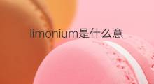 limonium是什么意思 limonium的中文翻译、读音、例句