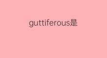 guttiferous是什么意思 guttiferous的中文翻译、读音、例句