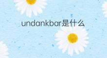 undankbar是什么意思 undankbar的中文翻译、读音、例句