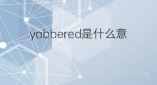 yabbered是什么意思 yabbered的中文翻译、读音、例句