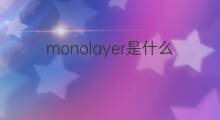 monolayer是什么意思 monolayer的中文翻译、读音、例句