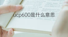 ucp600是什么意思 ucp600的中文翻译、读音、例句