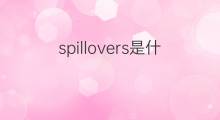 spillovers是什么意思 spillovers的中文翻译、读音、例句