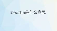 beattie是什么意思 beattie的中文翻译、读音、例句