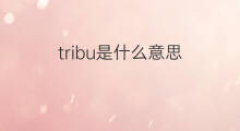 tribu是什么意思 tribu的中文翻译、读音、例句