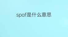 spaf是什么意思 spaf的中文翻译、读音、例句