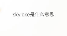 skylake是什么意思 skylake的中文翻译、读音、例句