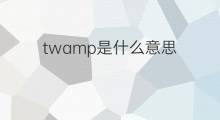 twamp是什么意思 twamp的中文翻译、读音、例句