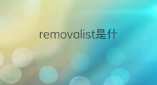 removalist是什么意思 removalist的中文翻译、读音、例句