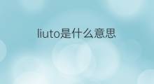 liuto是什么意思 liuto的中文翻译、读音、例句