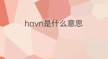 havn是什么意思 havn的中文翻译、读音、例句