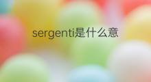 sergenti是什么意思 sergenti的中文翻译、读音、例句