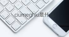 ciumeghiu是什么意思 ciumeghiu的翻译、读音、例句、中文解释