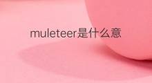 muleteer是什么意思 muleteer的翻译、读音、例句、中文解释