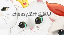cheesy是什么意思 cheesy的中文翻译、读音、例句