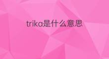 trika是什么意思 trika的中文翻译、读音、例句