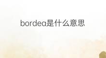 bordea是什么意思 bordea的中文翻译、读音、例句