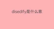 disedify是什么意思 disedify的中文翻译、读音、例句