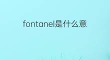 fontanel是什么意思 fontanel的中文翻译、读音、例句
