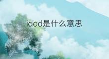 idod是什么意思 idod的翻译、读音、例句、中文解释