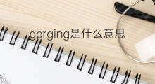 gorging是什么意思 gorging的中文翻译、读音、例句