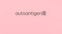 autoantigen是什么意思 autoantigen的中文翻译、读音、例句