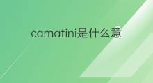 camatini是什么意思 camatini的中文翻译、读音、例句