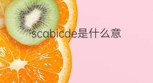 scabicde是什么意思 scabicde的中文翻译、读音、例句
