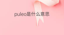 puleo是什么意思 puleo的中文翻译、读音、例句