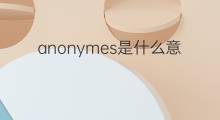 anonymes是什么意思 anonymes的中文翻译、读音、例句