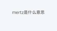mertz是什么意思 mertz的中文翻译、读音、例句