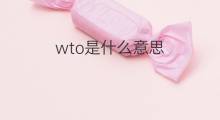 wto是什么意思 wto的中文翻译、读音、例句