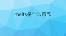 melts是什么意思 melts的中文翻译、读音、例句