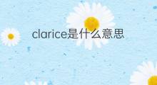 clarice是什么意思 clarice的中文翻译、读音、例句