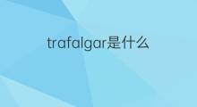 trafalgar是什么意思 trafalgar的中文翻译、读音、例句