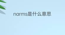 narms是什么意思 narms的中文翻译、读音、例句