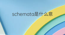 schemata是什么意思 schemata的中文翻译、读音、例句
