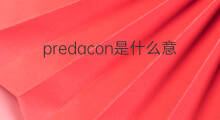 predacon是什么意思 predacon的中文翻译、读音、例句