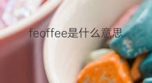 feoffee是什么意思 feoffee的中文翻译、读音、例句