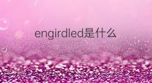 engirdled是什么意思 engirdled的中文翻译、读音、例句