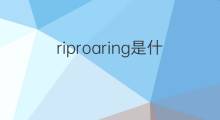 riproaring是什么意思 riproaring的中文翻译、读音、例句